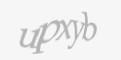 Қорғаныс коды